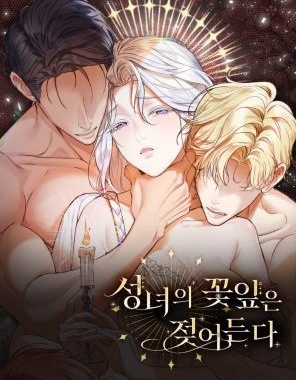 不知疲倦的男主角们,不知疲倦的男主角们漫画
