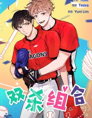 双杀组合,双杀组合漫画